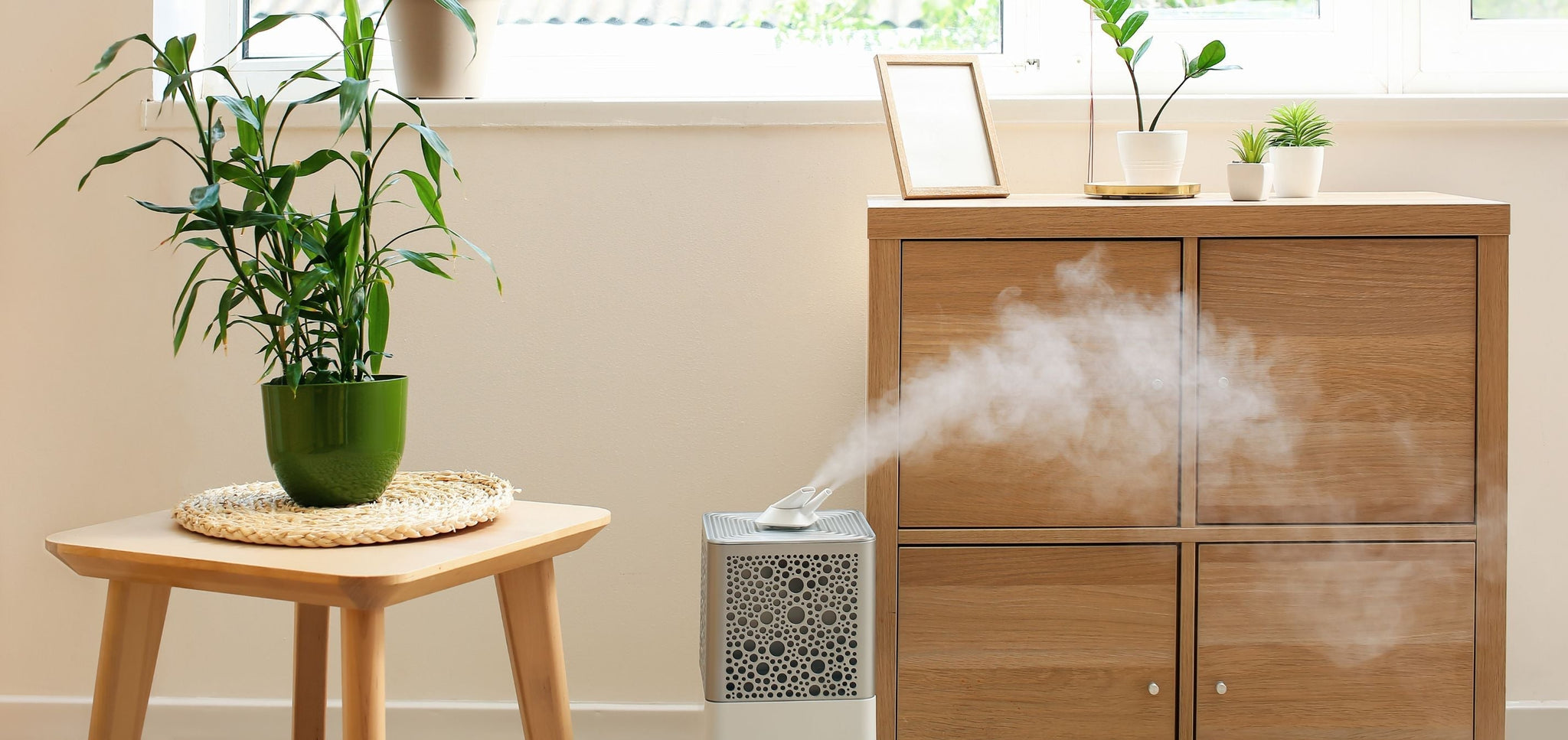Wat Doet Aromatherapie met Je Lichaam en Geest?